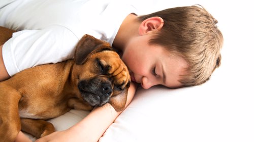 GUTT OG HUND: Å sove sammen med hunden kan være sunt for deg.