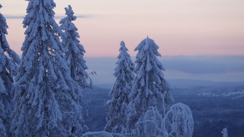 KALDT: Meteorologene er enige om at det ligger an til en lengre kuldeperiode over Skandinavia.