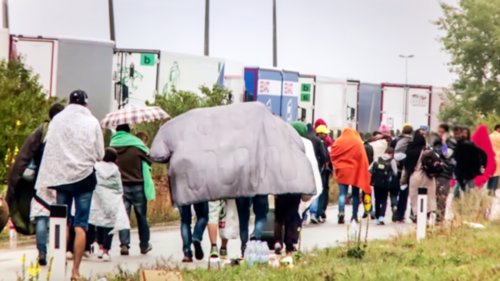 Noas er bekymret over flyktningsituasjonen i Europa, og mener Norge må ta imot flere migranter.