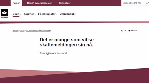 TRØBBEL: Mange har blitt møtt av denne meldingen når de har forsøkt å logge seg inn hos Skatteetaten torsdag morgen.