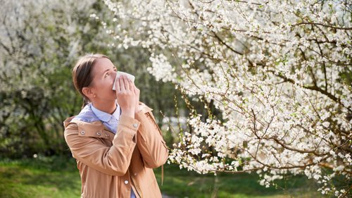 LØSNING FOR DE SOM SLITER MEST: Svært mange nordmenn er allergiske mot pollen og mange sliter så mye at de bør vaksineres for å komme seg gjennom pollensesongen. Illustrasjonsfoto.