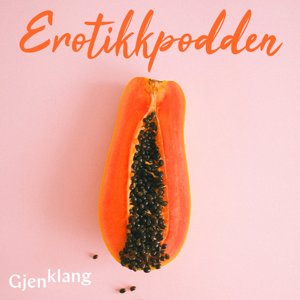Offentlig innsyn