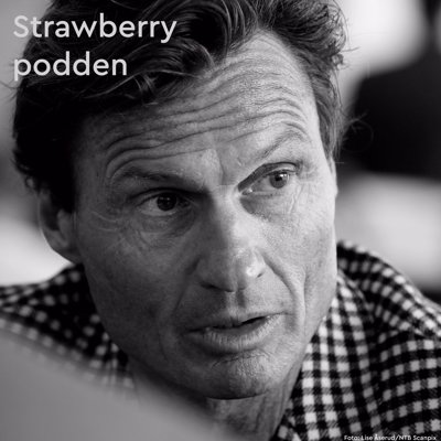 Petter Stordalen - Strawberrypodden