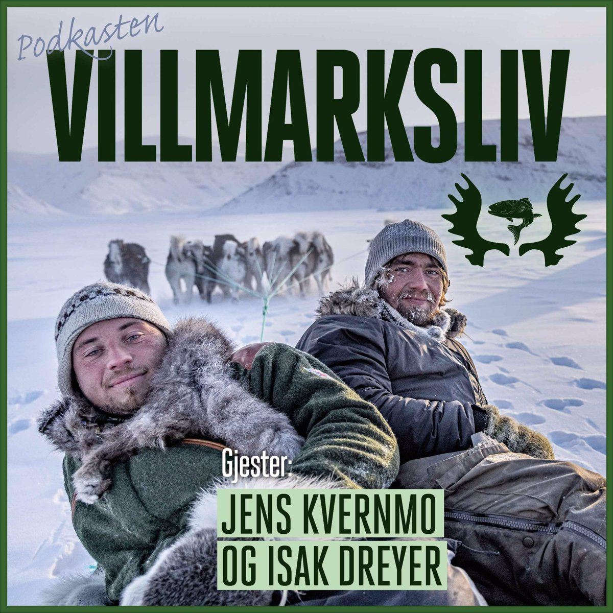 Norsk Villmark: Beste Ekstreme Reiser for Eventyrlystne