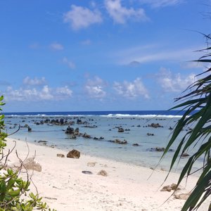 Nauru, et land man kan og bør springe rundt (113)