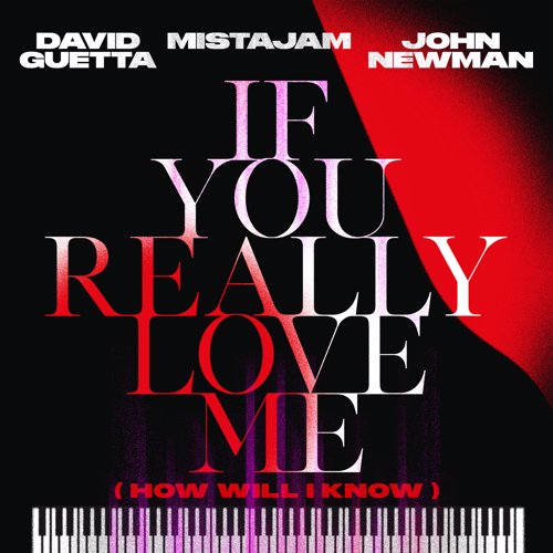 If You Really Love Me (How Will I Know) - David Guetta x MistaJam x John Newman