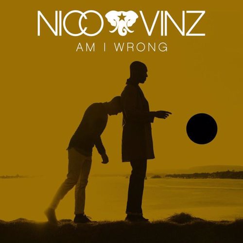 Am I Wrong - Nico & Vinz