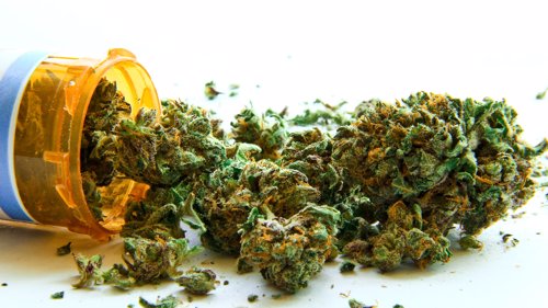 FORTSATT FORBUD: Uaktuelt å legalisere cannabis, sier statssekretær i helse- og omsorgsdepartementet.