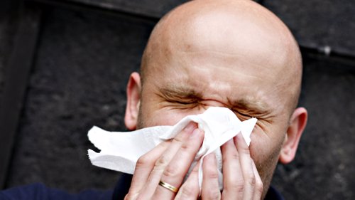 ATSJO: Stadig flere nordmenn blir allergiske mot pollen. For mange er allergitabletter nok for å stoppe nys, rennende nese og kløende øyne.